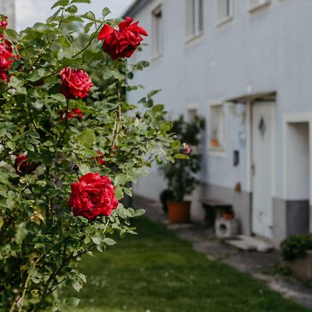 Ferienwohnung Morgensonne Sérc Kültér fotó