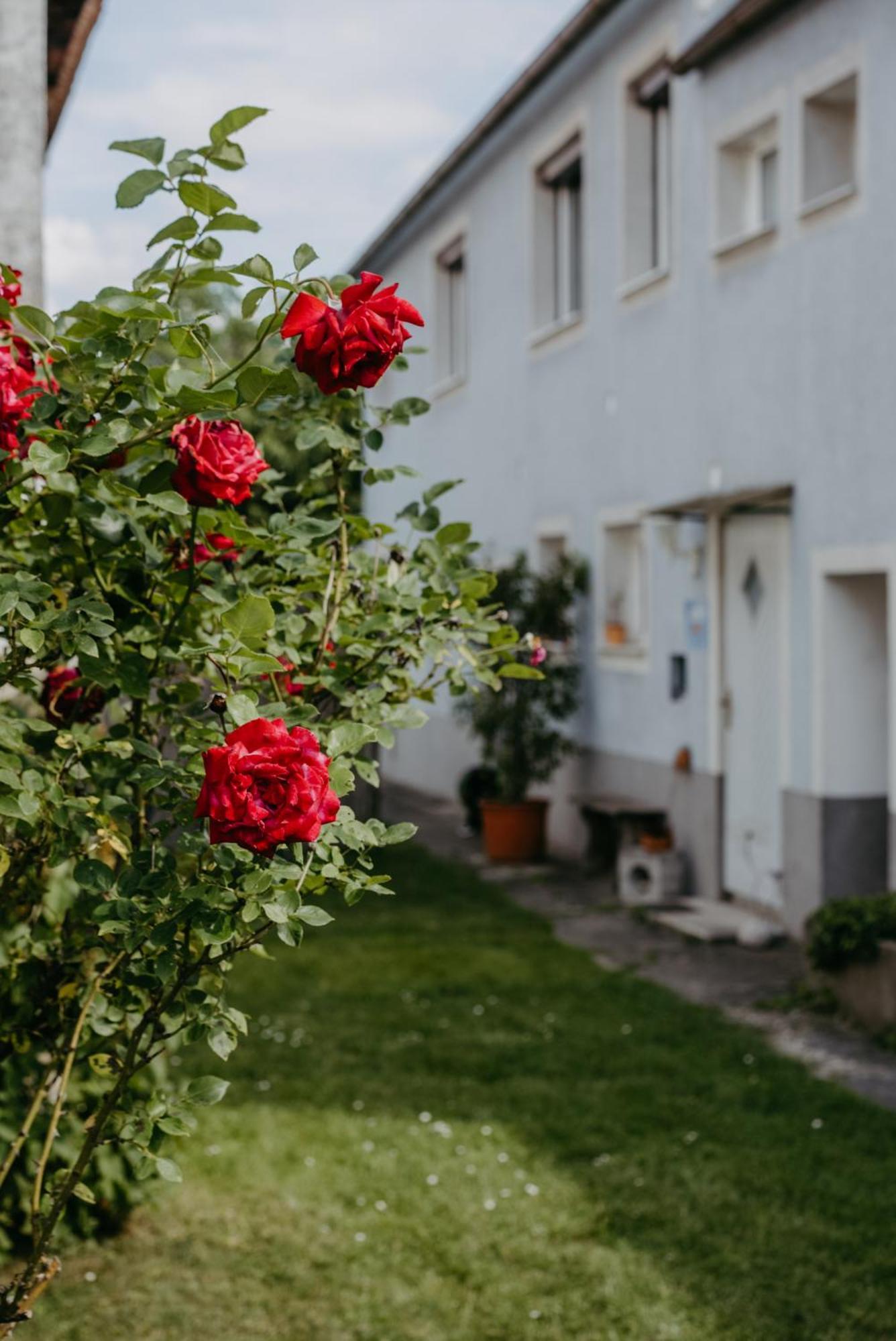 Ferienwohnung Morgensonne Sérc Kültér fotó